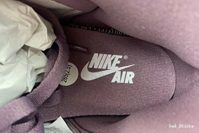 Retro 8885  1 Compact OG Jordan Sky 125 DZ5485- Mauve High J 0818